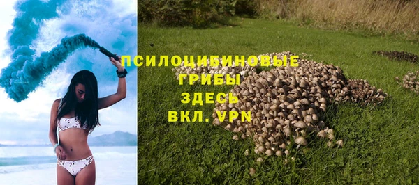 apvp Арсеньев