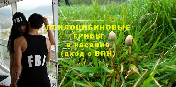 крисы Армянск