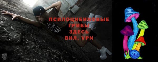 эйфоретик Козловка