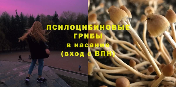 apvp Арсеньев