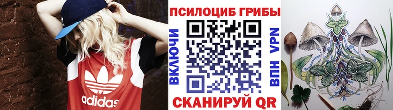 цены   Белогорск  Галлюциногенные грибы MAGIC MUSHROOMS 
